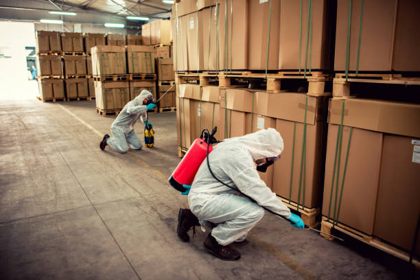 Best Pest Removal Services  in New Ellenton, SC