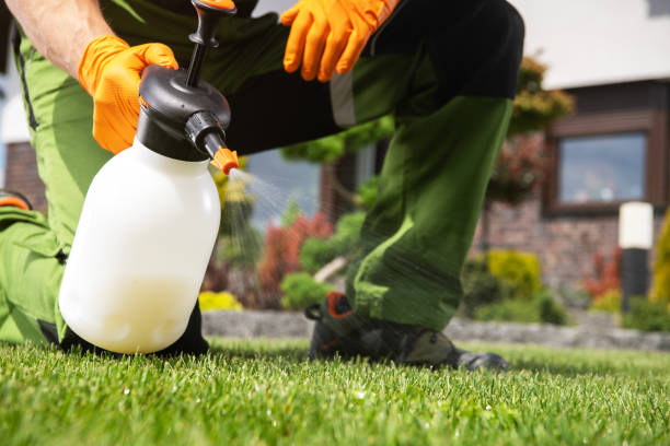 Best Commercial Pest Control Services  in New Ellenton, SC