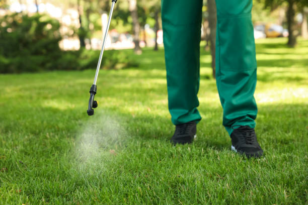 Best Wasp Removal Services  in New Ellenton, SC