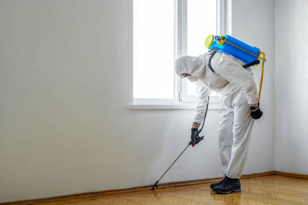 Best Pest Control Near Me  in New Ellenton, SC