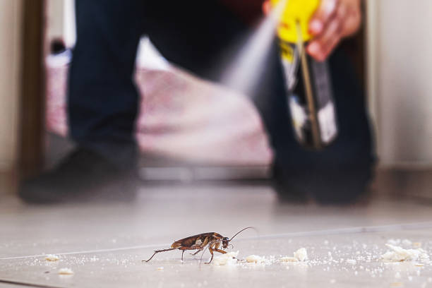  New Ellenton, SC Pest Control Pros