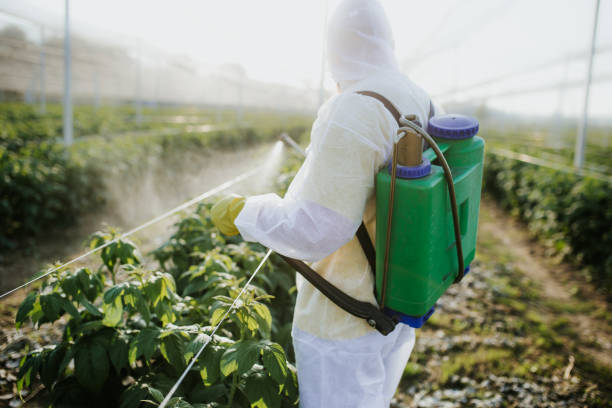 Best Mosquito Control Services  in New Ellenton, SC